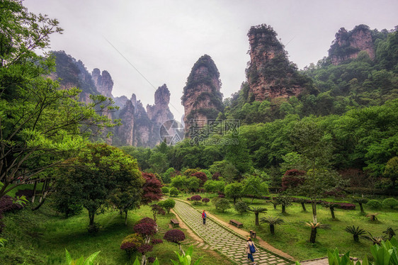 袁家界公园风景秀丽著名的高大怪诞岩石成为阿凡达的灵感来源图片