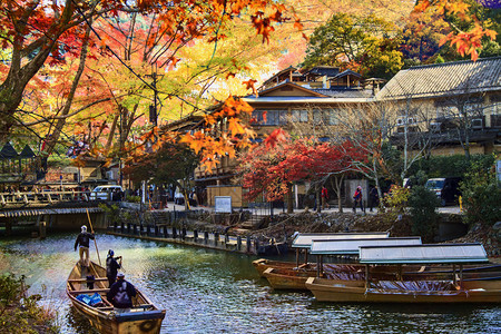日本岚山秋季的成像图片