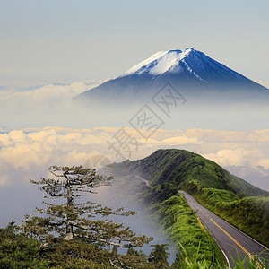 以绿色道路和良好背景的美丽风景图片