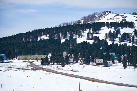 俄罗斯西伯利亚阿尔泰的Seminski山口上图片