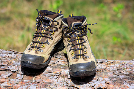 登录森林的徒步旅行者靴子图片