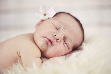 刚出生的婴儿睡得很安稳图片
