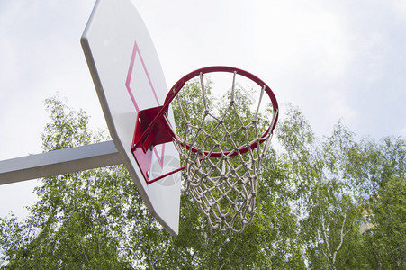 绿树背景下公园里的篮球架背景图片