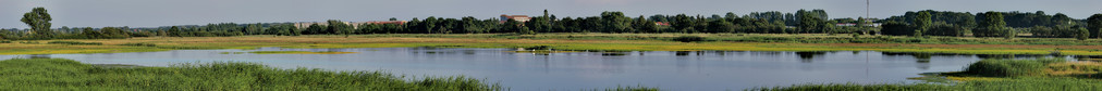 德国梅克伦堡沃波默恩Greifswald附近的湿地全景图片