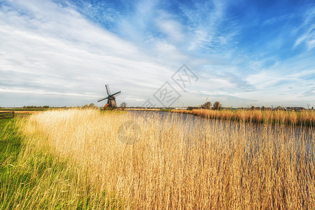 荷兰风车沿着小运河在荷兰Scher图片