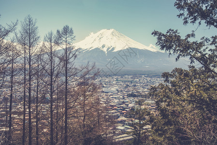 从日本红塔看富士山图片
