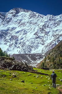 Trekker行走在通往巴基斯坦卡拉科鲁姆NangaParbat基地营图片