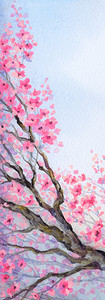亚洲日本素描风格的纸背景上生动的彩色水彩画图片