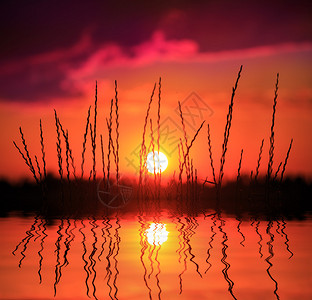 夕阳天空背景下草的水倒影图片