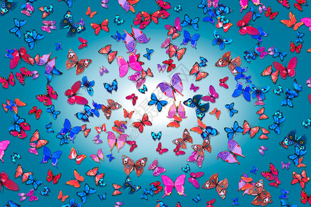 在五颜六色的背景的简单的蝴蝶图片