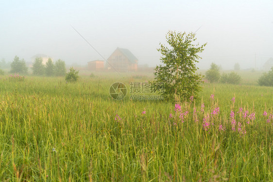 美丽的自然景观有小房图片