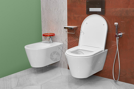 现代浴室中的马桶和坐浴盆图片