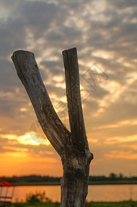 在河木棍子的美丽的日落背景图片