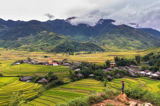 旅行者在越南西北部延拜省Tule区梯田的Tule县图片