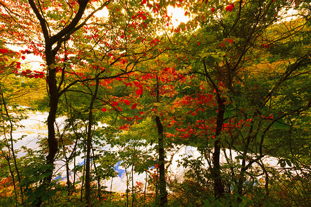 美丽多彩的秋天风景图片