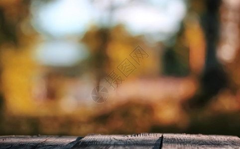 夏末树叶背景下一张旧木桌的表面图片