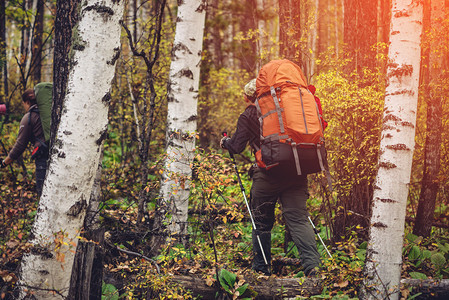 人类背包在山林中走上一条小路生态活跃旅游的理图片