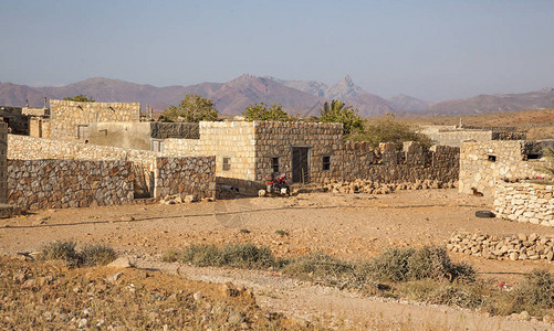 也门索科特拉岛Socotra的日图片