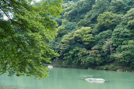 日本岚山森林湖图片