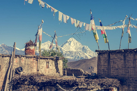 尼泊尔的Dhaulagiri山图片