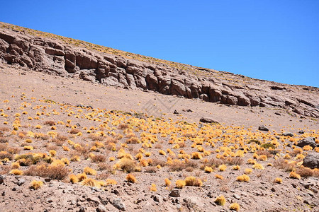 智利阿塔卡马沙漠的山图片