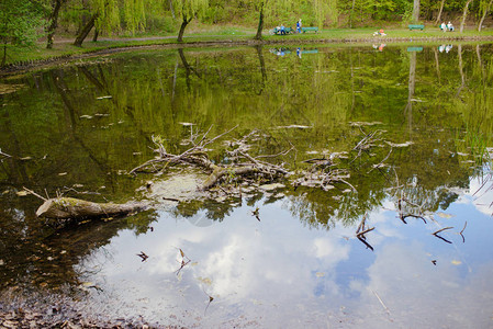 春天公园春天公园里的湖图片