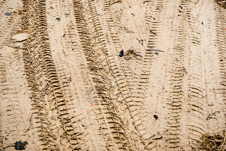 乡村沙漠狩猎期间沙滩上的足迹图片