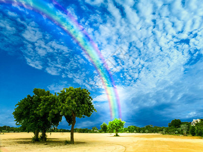 上帝保佑公园里彩虹晴朗的天空树图片