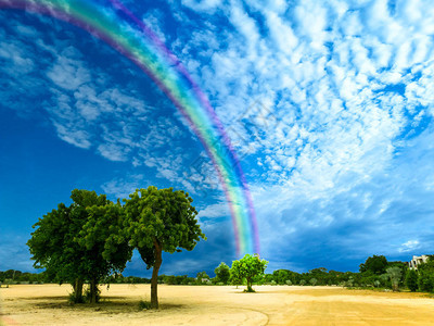 上帝保佑公园里的彩虹天空树图片