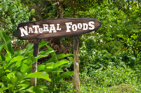 绿色丛林背景下的天然食品木质标志图片