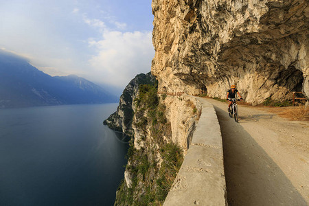 蓬莱松在意大利RivadelGarda的SentierodellaPonale路上背景