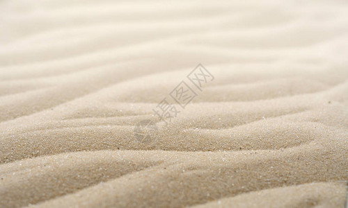 来自细海沙的背景浅米色沙子的质地背景图片
