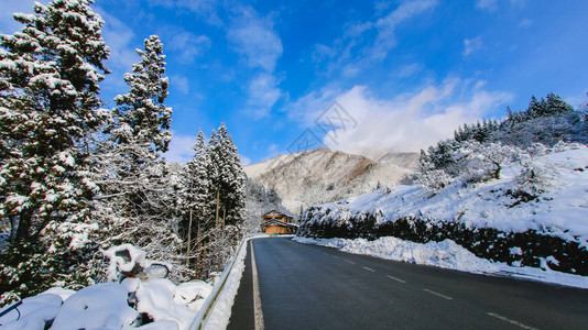 秋季时下雪的Komagatake山图片
