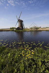 荷兰小孩堤防的老荷兰风车图片