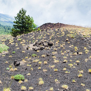 前往意大利西里岛埃特纳火山老火山口图片