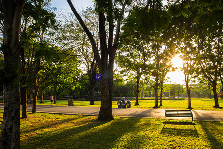公园长椅日落黄色光束与路径图片