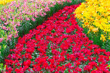 花路花径方式图片