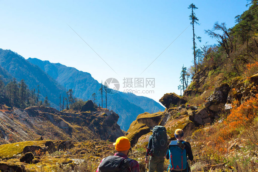 尼泊尔喜马拉雅山的仙女山景观层叠的山林和苔藓覆盖的石头和一群在森林中行走图片