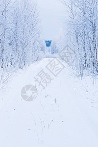 林间白雪皑的道路图片
