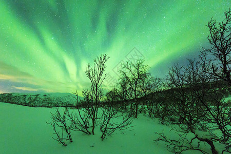 夜晚的北极光北极光图片