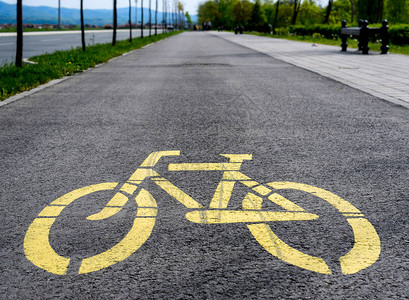 骑自行车的黄图片