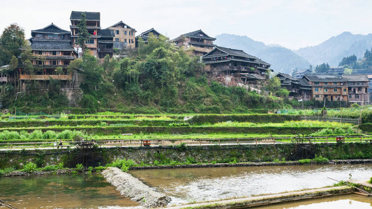 春季在Sanjiang东自治州成阳村的梯田花园和灌溉运河附近房屋到旅游春图片