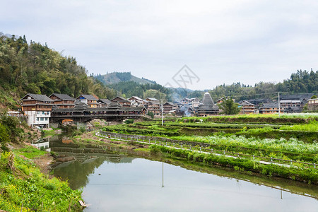 阳逻大桥春季在三江东自治县成阳村的花园和大桥展出背景