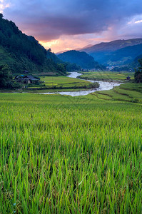 沙巴仙本那西北越南MuCangChaiYenBai背景