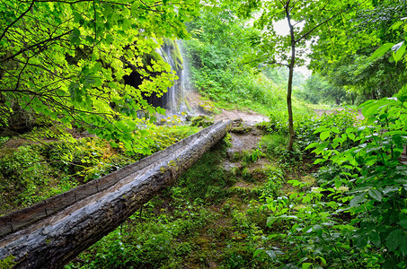 石窟水流在公园的木排水沟里流动背景