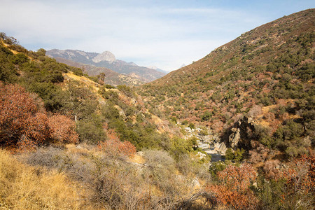 美国加利福尼亚州Hwy将军Seqouia公园入口图片