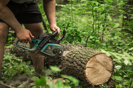 一个拿着电锯的人在森林里砍树特写背景图片