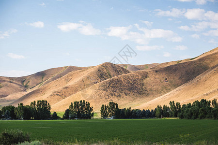 在农田的绿色田野后面的荒山图片