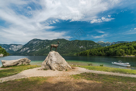 斯洛文尼亚Triglav公园的B图片