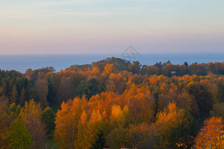 波罗的海沿岸的秋天图片